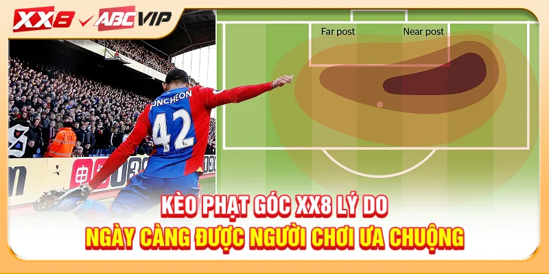 Kèo phạt góc XX8 lý do ngày càng được người chơi ưa chuộng