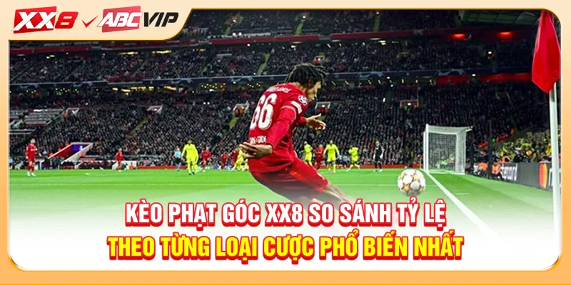 Kèo phạt góc XX8 so sánh tỷ lệ theo từng loại cược phổ biến nhất